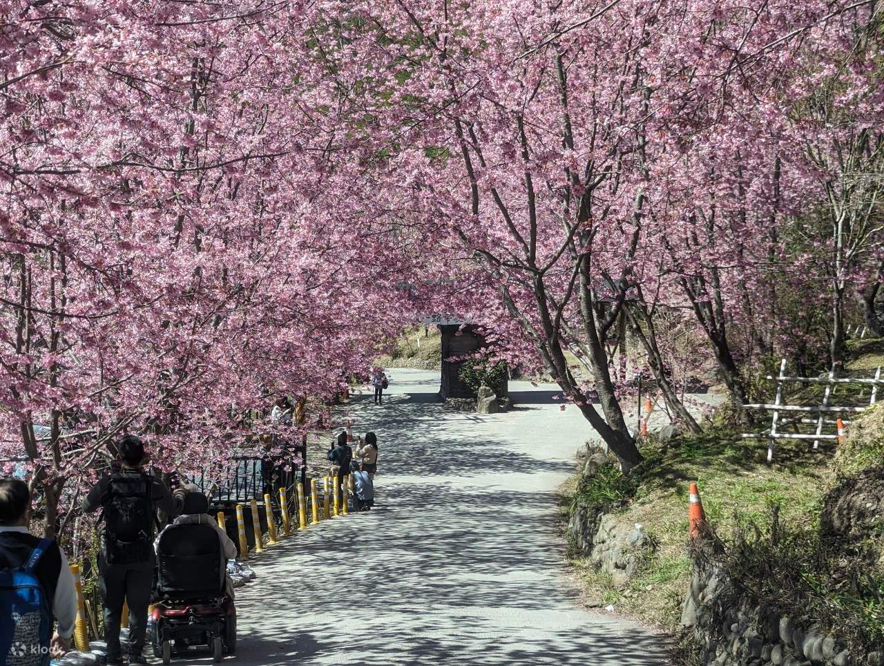 스마쿠스 별빛 캠핑